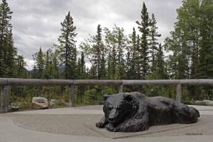 44_Vor diesem Bären vor dem Visitor Center im Denali Nationalpark muss man keine Angst haben  
